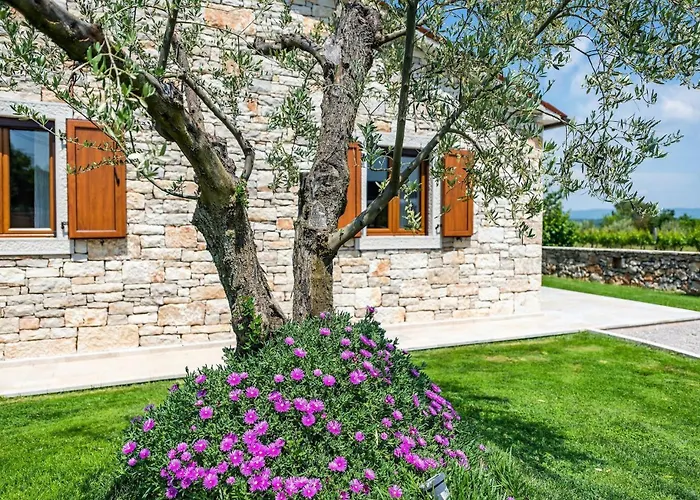 Oliveta * Πούλα